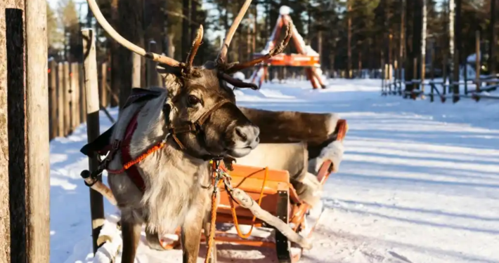 Destination - agence evenementielle - évènement d'entreprise en hiver